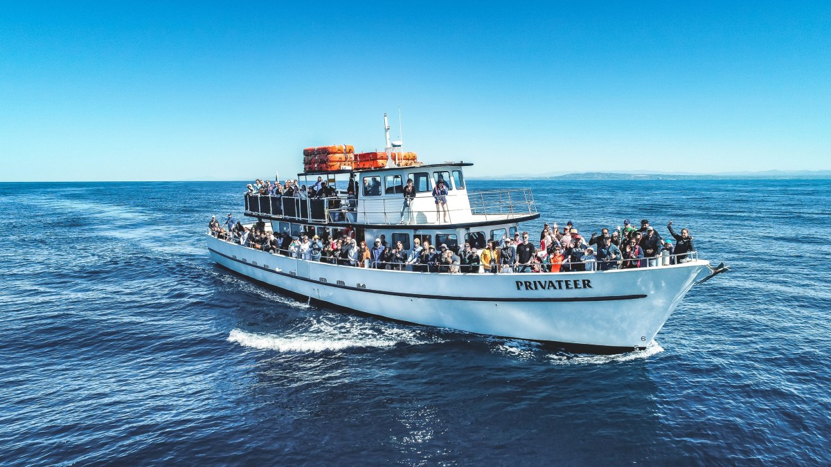 Best Seat in the House! Image 3 a small boat in a body of water