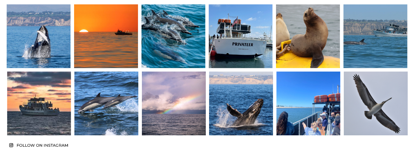 Instagram Photo Gallery Instagram Photo Gallery