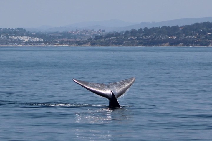 a small boat in a large body of water