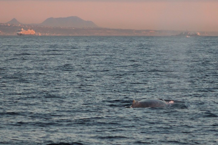 a large body of water