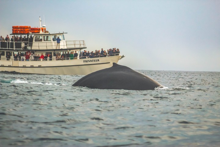 a large ship in a body of water