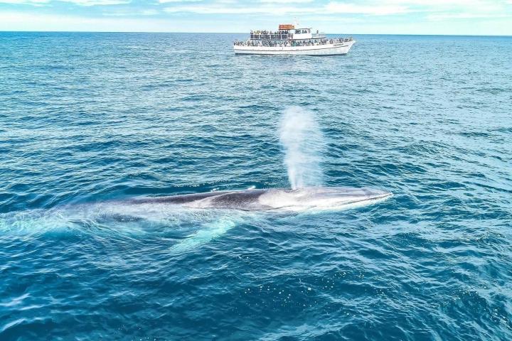 a body of water next to the ocean