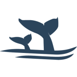 San Diego Whale Watch